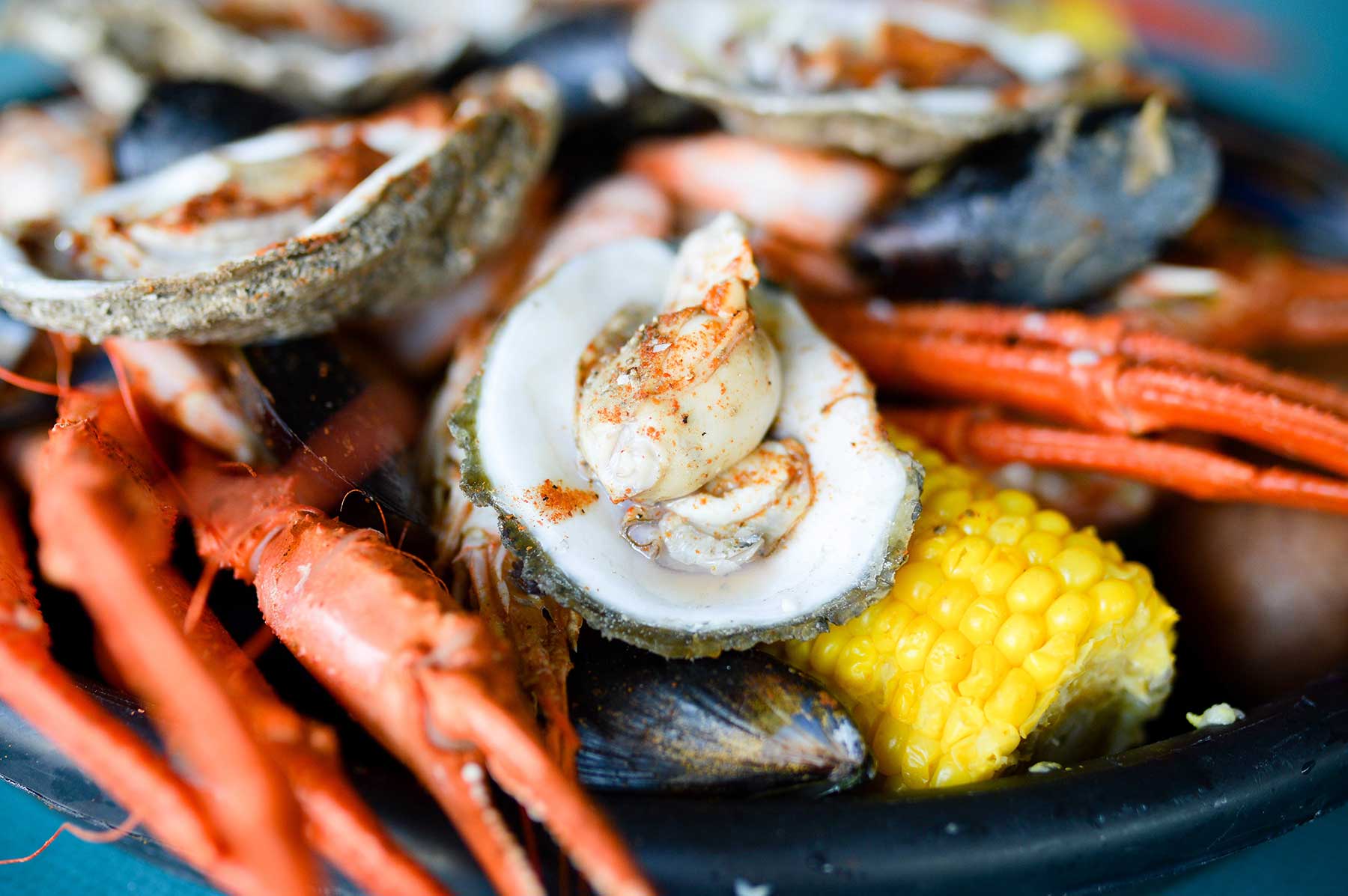 steamed-oysters - The Steamer